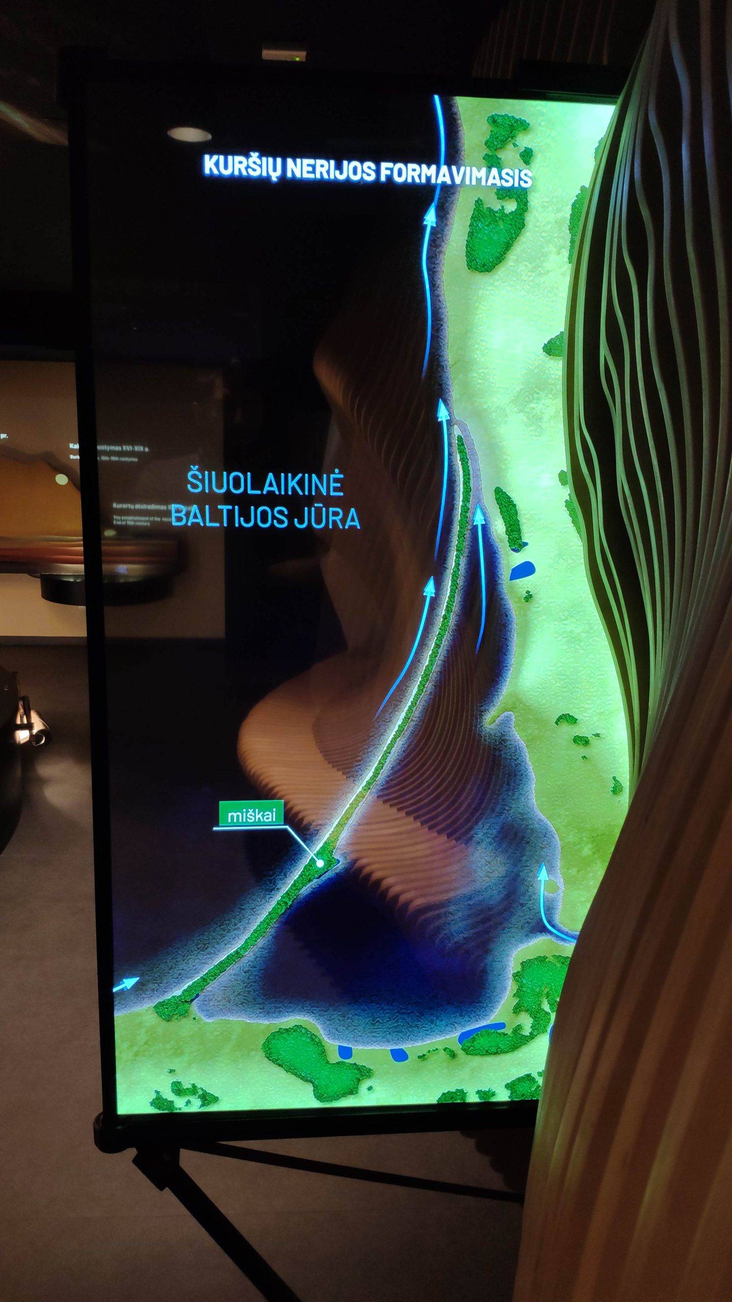 Skaidrus OLED tipo ekranas